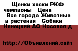Щенки хаски РКФ чемпионы › Цена ­ 90 000 - Все города Животные и растения » Собаки   . Ненецкий АО,Носовая д.